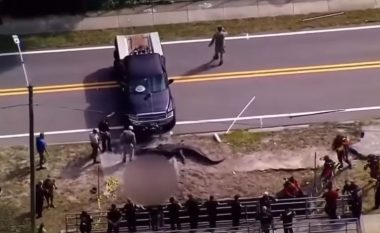 Terror në Florida, aligatori i madh ecte me një kufomë në nofulla (VIDEO)