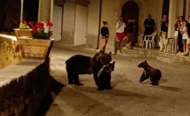 “E bëra për vetëmbrojtje”, vrasja e një ariu shkakton reagime të ashpra në Itali