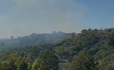 Zjarr në Bubq të Krujës, flakët djegin 4 ha ullishte e pyje, e pamundur ndërhyrja e zjarrfikësve