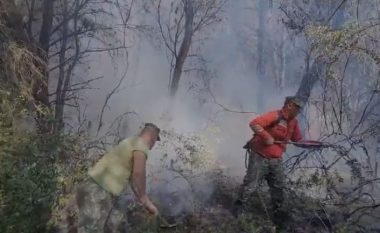 Pylli i Pishporos në Fier digjet prej 3 ditësh, tërhiqen zjarrfikësit, kërkohet ndërhyrja nga ajri