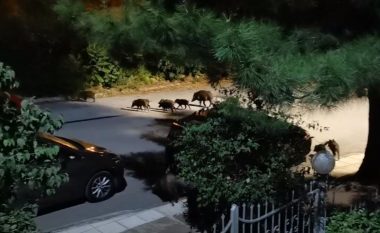 VIDEO/ Tufa e derrave të egër “del xhiro” në Selanik