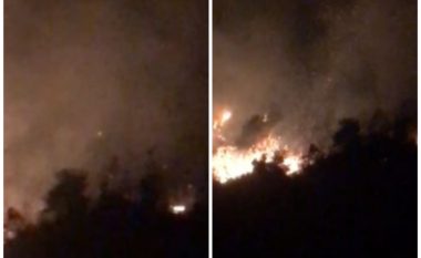 Nuk kanë të ndalur zjarret, digjen dhjetëra hektarë kullota në Gjirokastër
