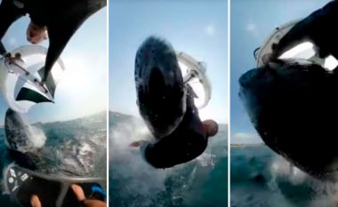 “Është mrekulli që jam gjallë”, sërfisti australian sulmohet nga një balenë (VIDEO)