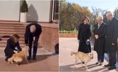 Presidenti austriak kafshohet nga qeni i homologes moldave (VIDEO)