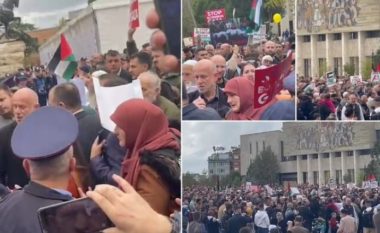 Marshim “Pro” Palestinës në Tiranë, qytetarët përplasen me policinë (FOTO)