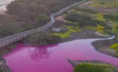 Liqeni në Hawaii kthehet në ngjyrë rozë, çfarë po shqyrtojnë shkencëtarët