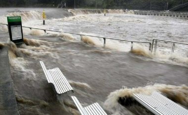 VIDEO/ E pazakontë në Australi, përmbytjet masive zgjerojnë terrenin e krokodilëve nëpër qytet