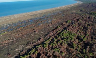 Raporti: Mbi 365 hektarë me pisha u dogjën në zonën e mbrojtur të Pish Poro-Nartë