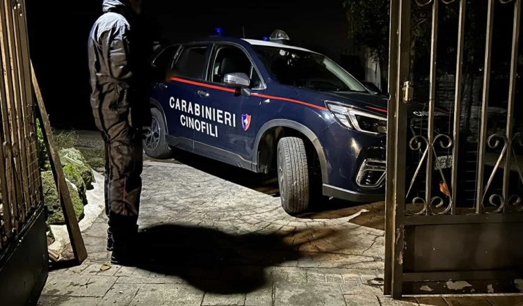 Kush është 29 vjeçari shqiptar që u arrestua në Gjermani  pjesë e bandës së Pëllumb Pacramit  Përgjimet që  i fundosën 