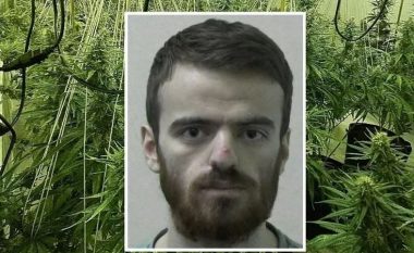 Dënohet me burg i riu shqiptar pasi u kap në një ‘shtëpi bari’, avokati: Donte të lante borxhet e babait