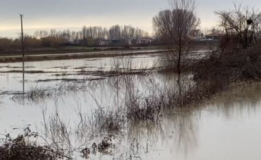 Reshjet intensive të shiut, Lumi Ishëm del nga shtrati në fshatin Murqinë të Krujë, përmbytet sipërfaqe e madhe tokash