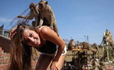 Mijëra majmunë “pushtojnë” Tajlandën, detyrojnë qytetarët dhe turistët të “ngujohen” në shtëpi