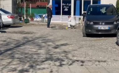 Plagoset me thikë 22-vjeçari në Shkodër