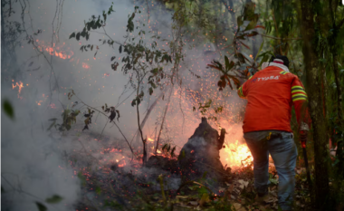 Përhapen zjarret edhe në pyjet e Meksikës, të paktën katër të vdekur