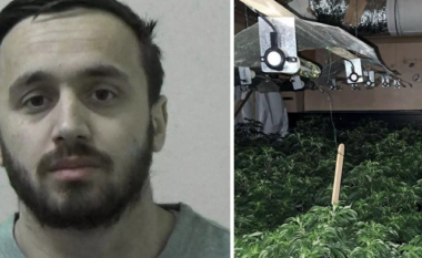 U kap në fermën e kanabisit, dënohet me burg shqiptari në Britani