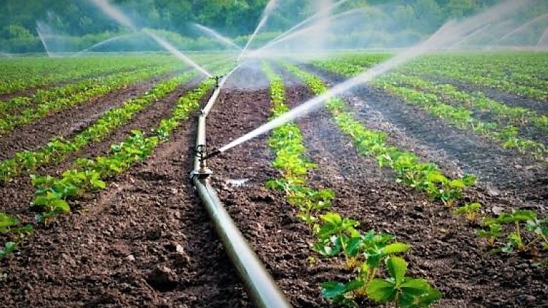 Skemë e re për bujqësinë, ministrja Denaj: Hiqet subvencioni për grurin, s’ka më naftë falas
