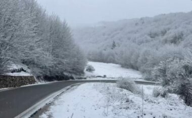 Rikthehen reshjet e dëborës në Korçë