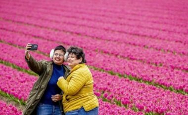 Kopshti holandez hapet për herë të 75-të për të ekspozuar miliona tulipanë