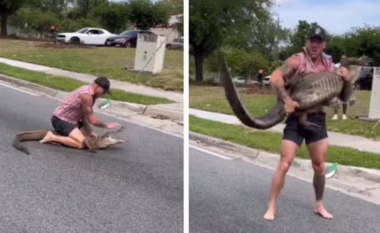 Burri në Florida me duar të zhveshura kap aligatorin 2 m për ta larguar nga rruga (VIDEO)