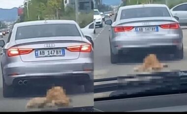 Tërhoqi zvarrë qenin me makinën e tij në rrugët e Tiranës, procedohet dhe gjobitet autori