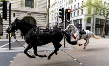 4 persona të plagosur nga kuajtë e lëshuar në Londër (FOTO)