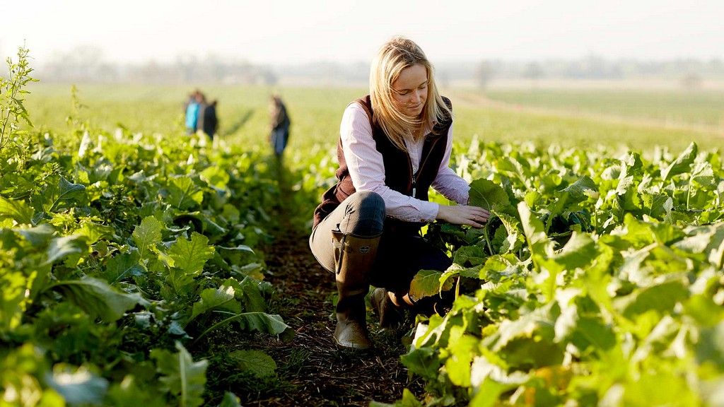 Rënia e bujqësisë dhe industrisë, rrezikon 54% të të punësuarve në vend në sektorin privat