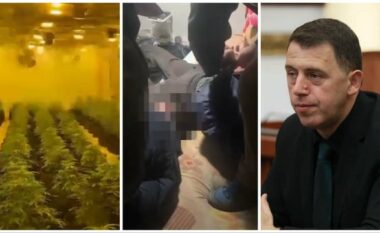Vëllai u kap me mijëra bimë kanabis, reagon deputeti socialist Eduart Ndreca
