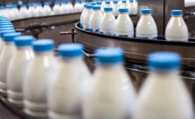 Siguria ushqimore/ Vetëm 5% e qumështit që prodhohet në vend testohet