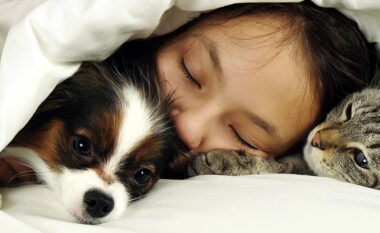 A është e shëndetshme që fëmijët të flenë me kafshët shtëpiake?