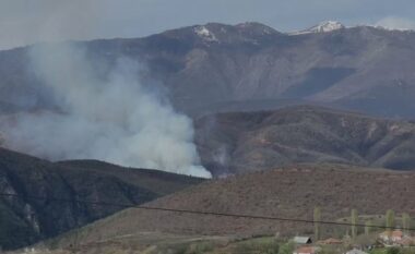 Vatër zjarri në Bulqizë/ Digjet masivi pyjor, flakët rrezikojnë banesat e fshatit