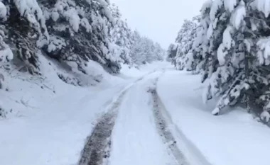 Rëndohet situata në Bulqizë, trashësia e borës arrin 10-20 cm! Vështirësi në qarkullimin e mjeteve