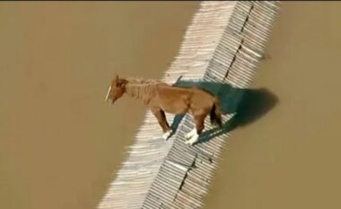 Kali filmohet në çatinë e një shtëpie të zhytur në ujë në Brazil, autoritetet do të përpiqen ta shpëtojnë me helikopter (VIDEO)