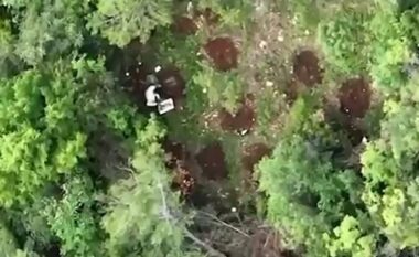Krujë/ Dronët e policisë e filmuan teksa mbillte kanabis në pyll, arrestohet 39-vjeçari