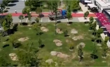 Rama ndan pamjet nga Durrësi: Qyteti më i pastër e më i gjelbëruar me mbjelljen e pemëve të reja