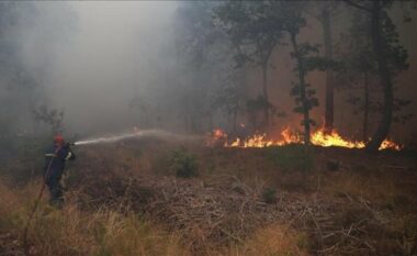 Tensionohet situata/ Paralajmërim për rrezik zjarresh në pyjet e Greqisë