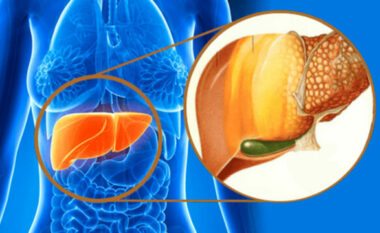 Shenjat që jep mëlçia kur niveli i toksinave në trup është shumë i lartë, ja çfarë duhet të dini