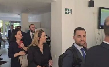 Apeli vendos për vulën e PD-së, përfaqësuesit e Bashës dhe Berishës në Gjykatë