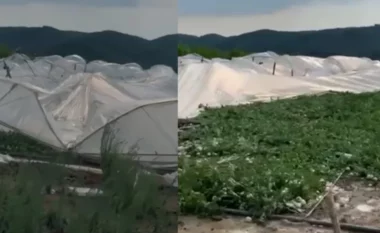 Gjysma e Shqipërisë po ‘digjet’ nga vapa, stuhia shkatërron serat në këtë zonë