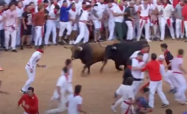 VIDEO/ “Tërbohen” demat, ndjekin nga pas të pranishmit, plagosen 8 persona në Spanjë