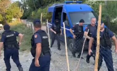 Kultivuan drogë në fshatrat në malësinë e Krujës, arrestohen 12 persona dhe shpallen në kërkim 4 të tjerë