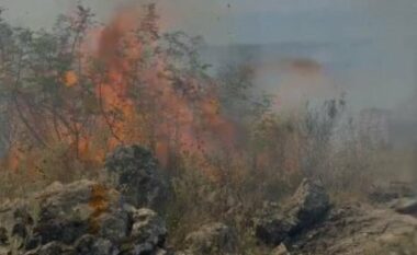 Zjarr dhe mbi Delvinë/ Banorët me pompa uji në krahë shuajnë flakët, terreni i vështirë për zjarrëfikëset
