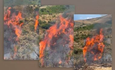 Shkak temperaturat e larta, riaktivizohen vatrat e zjarrit në Vlorë