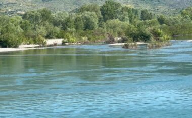 Policia parandalon ngjarjen tragjike në Shkodër/ 27-vjeçarja tenton të mbytet në lumin Buna bashkë me 4 fëmijët e saj