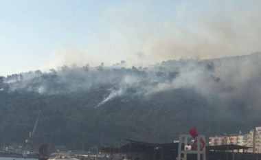 “Flakët kanë arritur deri në zonën e Ranës së Hedhun”, përkeqësohet situata me zjarrin në Shëngjin