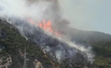 Zjarr i fuqishëm te masivi i pishave në Gërhot në Gjirokastër/ Zjarrfikësit në luftë me flakët
