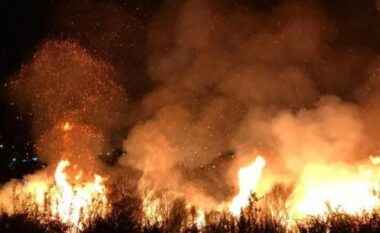 Situata e zjarreve në Qarkun e Shkodrës, një vatër aktive në fshatin Vukpalaj