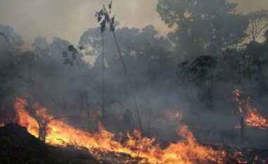 Aktivizohet zjarri në zonën e Dropullit, flakët rrezikojnë banesat dhe monumentet e kultit