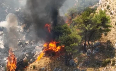 Prej 5 ditësh zjarr në Malin e Thatë, rrezikohet Parku i Prespës në Korçë! Kreu i zjarrfikëses: Nëse do jetë e nevojshme, ndërhyjmë me helikopter! 80 forca në terren