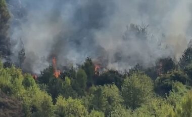 Përkeqësohet situata me zjarrin në Kallmet të Lezhës, nis ndërhyrja nga ajri