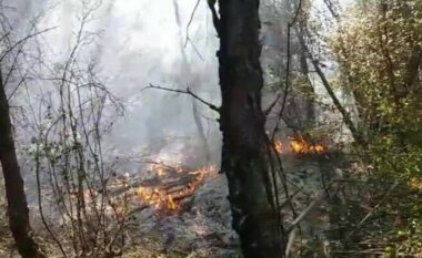 Riaktivizohet zjarri në lagjen Bojë në Krujë, zjarrfikësit në vendngjarje